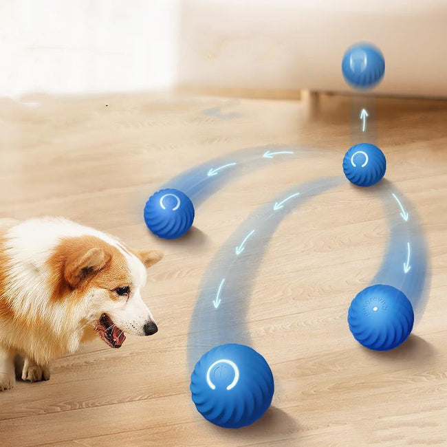 Rubber Dog Chew Ball – Interactive Bouncing Toy for Dogs Main Image