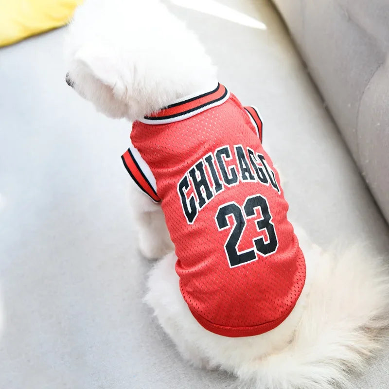 Summer Mesh Dog Jersey - Breathable Sport Shirts for Cooling, Small & Large Breeds (Schnauzer, Teddy, Cats)