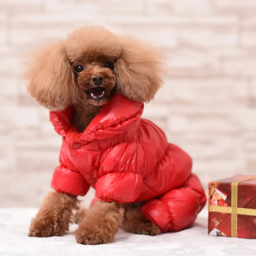 Warm Dog Clothes For French Bulldog Pug Chihuahua Yorkies Clothes Winter Pet Puppy Coat Jacket Dogs Pets Clothing Ropa Perro