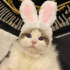 Cat Cosplay Dress Up Pet Hat Lion Mane for Cat Puppy Lion Wig Costume Party Decoration Halloween Christmas GatosPet Supplies