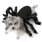 NONOR Halloween Dog Cat Clothes Pet Cosplay Funny Spider Costume Halloween Party Costumes for Small Medium Dog Cat Costumes