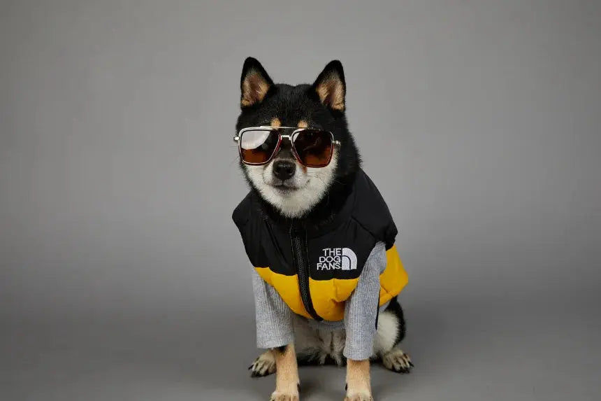 Autumn Winter Pet Dog Down Jacket Clothes for Small Medium Large Dogs Warm Thick Dog Vest French Bulldog Puppy Clothes