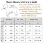Fashion Dog Hoodies Autumn Dog Clothes for Small Dogs Cute Solid Puppy Sweater Soft Cat Hoodies Pet Sweatshirt Chihuahua Clothes