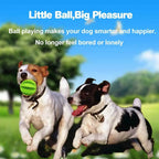 Durable Dental Chew Ball for Dogs – Snack-Dispensing Rubber Toy for Puppies & Large Breeds