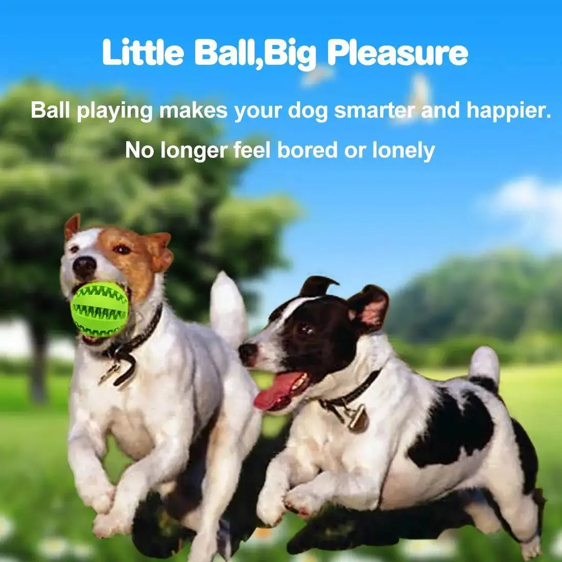 Durable Dental Chew Ball for Dogs – Snack-Dispensing Rubber Toy for Puppies & Large Breeds