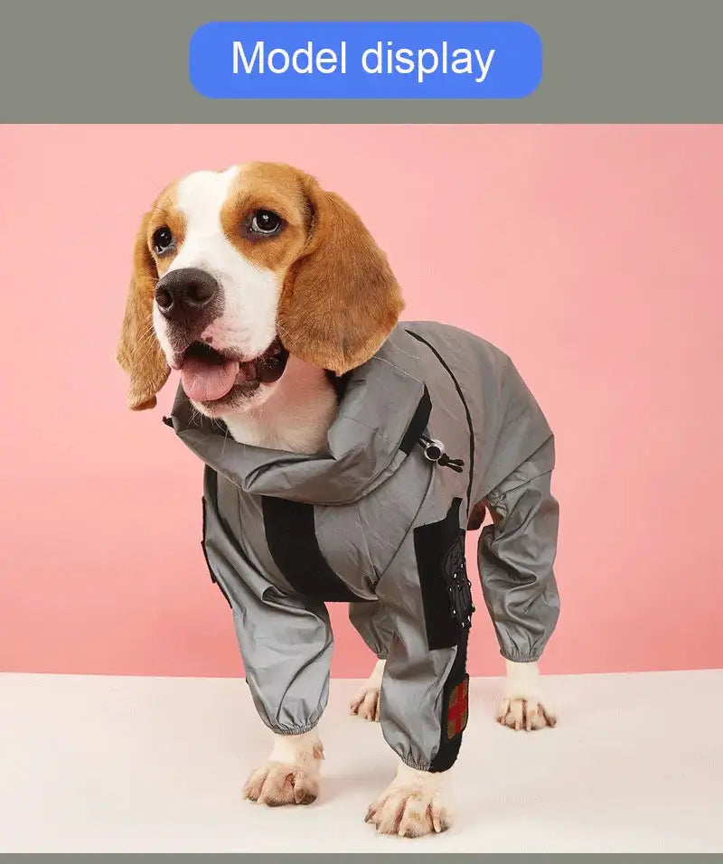 Outdoor Large Dog Raincoat: Stylish Protection for All Weather! ☔🐾
