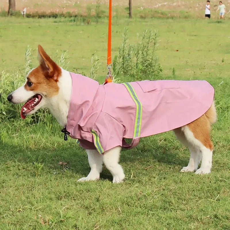 Stylish Waterproof Dog Raincoat: Keep Your Pup Dry and Chic! ☔🐶