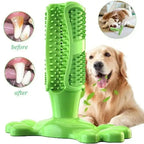 Cactus Dental Chew Toy: Self-Cleaning Toothbrush & Treat Dispenser for All Dogs
