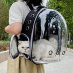 Portable Cat Carrying Backpack
