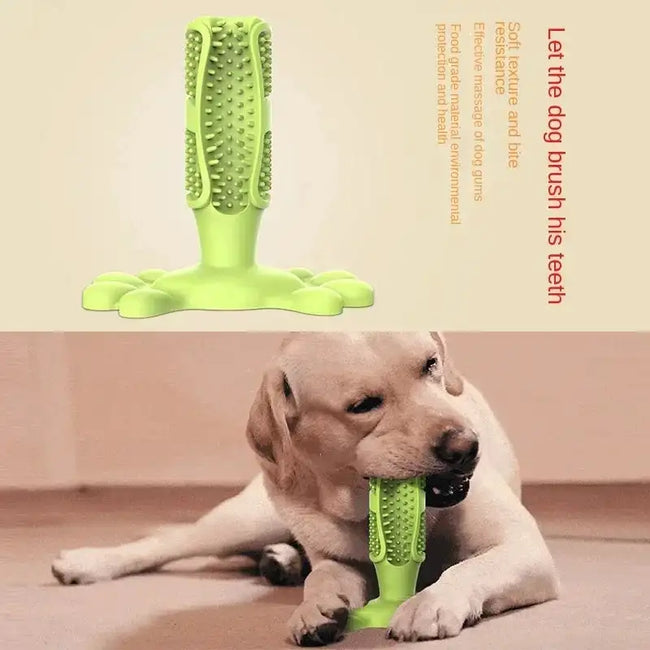 Cactus Dental Chew Toy: Self-Cleaning Toothbrush & Treat Dispenser for All Dogs Hover Image