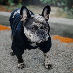 Cozy Winter Dog Hoodie for Large Breeds – Warm Fleece Jacket with Playful Face Print, Adjustable Fit (Labrador, French Bulldog & All Breeds)