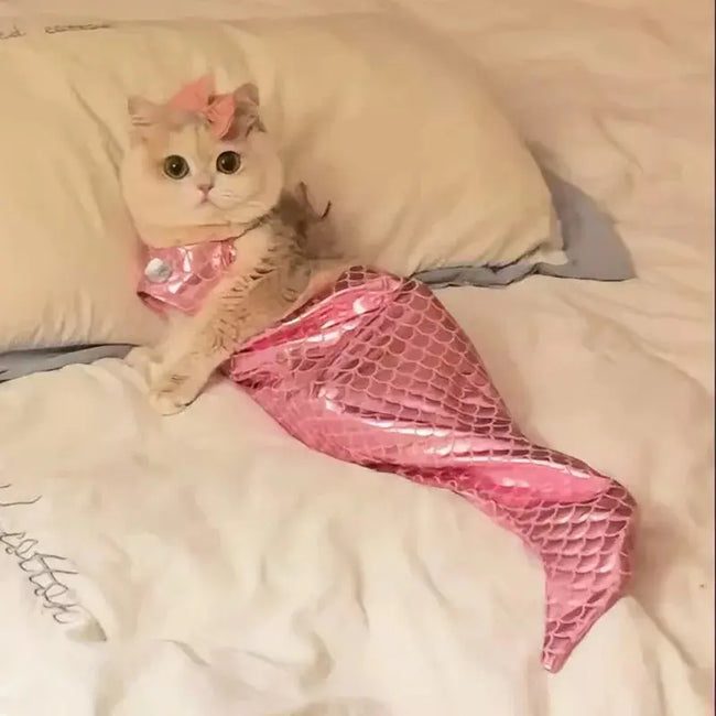 Cat Mermaid Crossdressing Funny Swimsuit Fish Tail Shape Cute Bikini Dog Pet Clothes Pet Halloween Costume Cats Clothes Hover Image