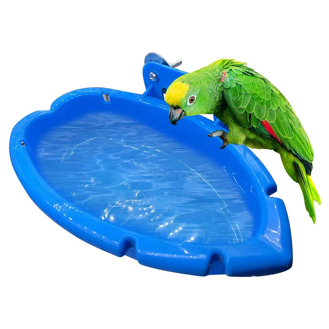 Parrot Bath & Feeding Box Hover Image