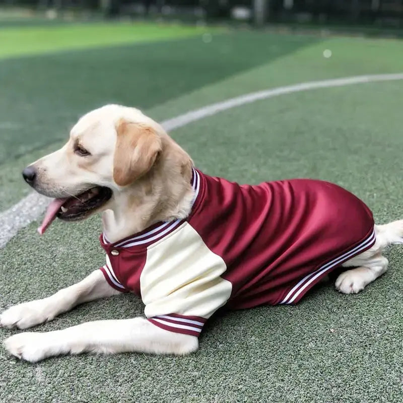 M~7XL Warm Big Dog Baseball Suit Medium Large Dogs Autumn Winter Clothing Golden Retriever Labrador Dog Sweater Thick Style
