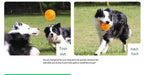 Squeaky Dental Chew Ball - Bouncy TPR Dog Toy for Teeth Cleaning & Play