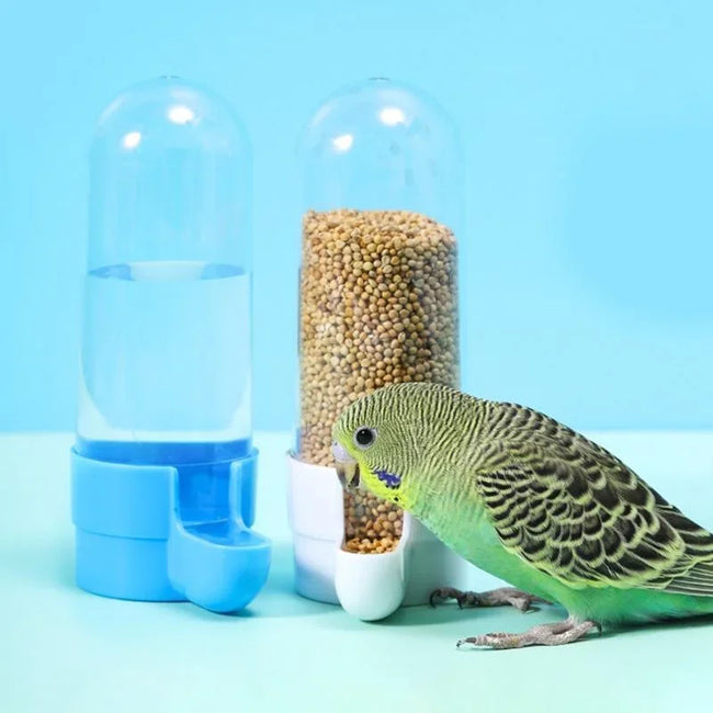 Hanging Bird Feeder & Water Cup Main Image