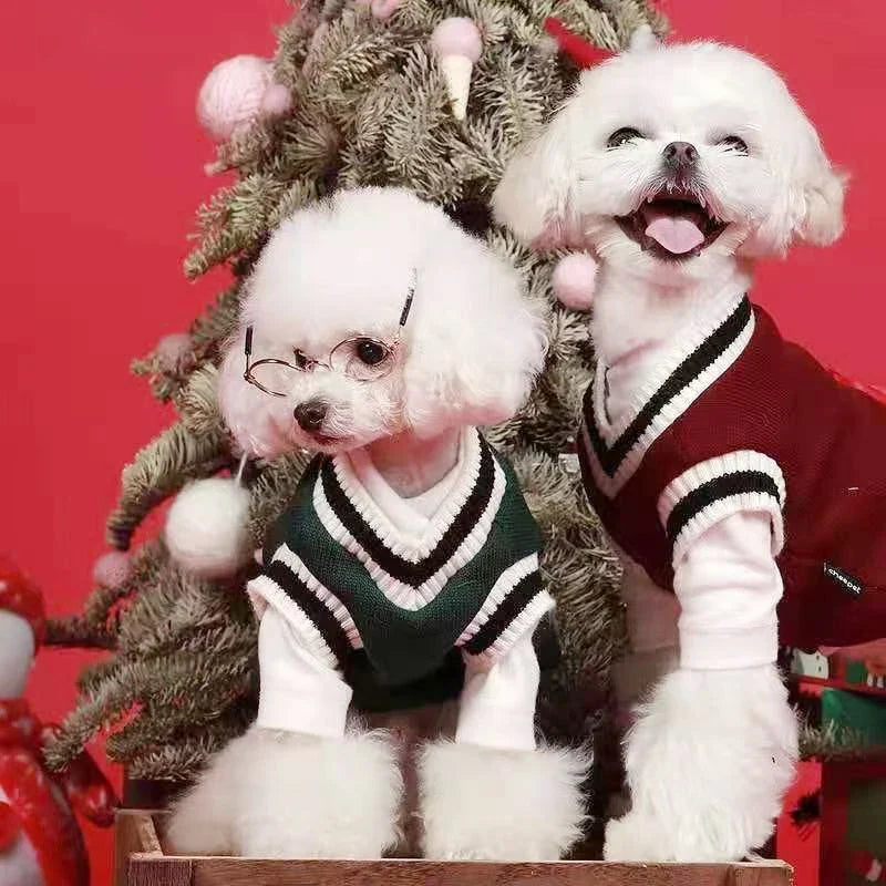 CampusPaws V-Neck Sweater - Preppy Knit Pullover for Small Dogs & Cats