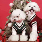 CampusPaws V-Neck Sweater - Preppy Knit Pullover for Small Dogs & Cats