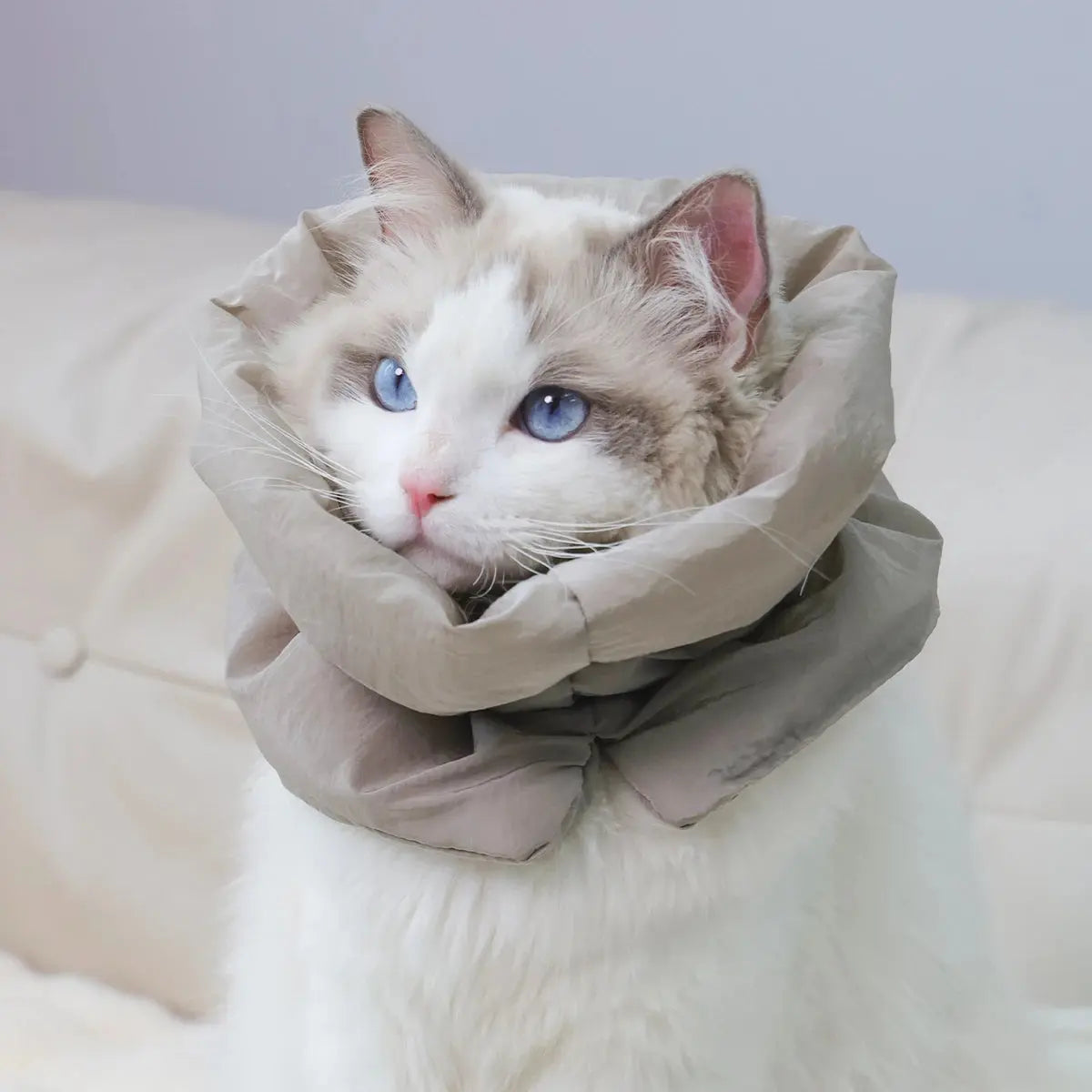 A colorful and fashionable pet warm collar and waterproof scarf for cats to prevent licking and biting after sterilization surge