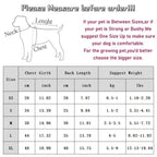 Pet Hoodies for Dogs Cats Spring Dog Clothes Chihuahua Bichon Poodle Dog Sweatshirt Solid Montage Puppy Clothing Pet Costumes