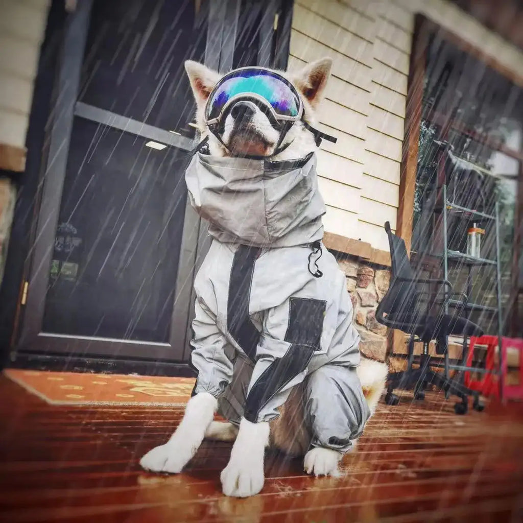 Outdoor Large Dog Raincoat: Stylish Protection for All Weather! ☔🐾