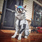 Outdoor Large Dog Raincoat: Stylish Protection for All Weather! ☔🐾