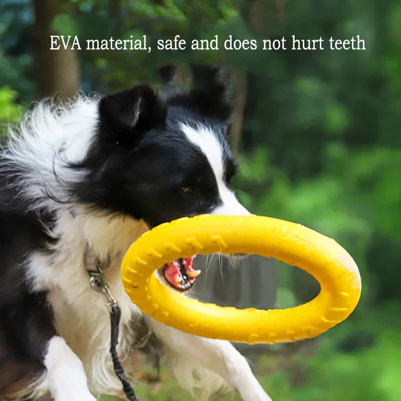 IndestructiChew 4-in-1 Dog Toy Bundle - EVA Chew-Proof Ball, Disc, Tug Rope & Dental Ring for Puppy & Adult Dogs