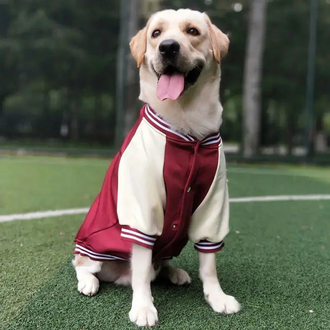 M~7XL Warm Big Dog Baseball Suit Medium Large Dogs Autumn Winter Clothing Golden Retriever Labrador Dog Sweater Thick Style Main Image