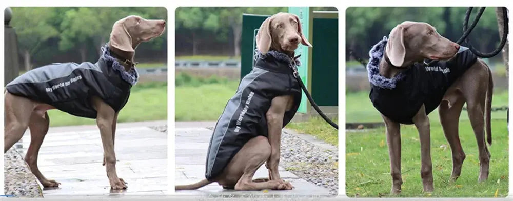Thickened Big Dog Coat Jacket with Fur Collar Winter Warm Pet Clothes for Medium Large Dogs Greyhound Doberman mascotas Outfits
