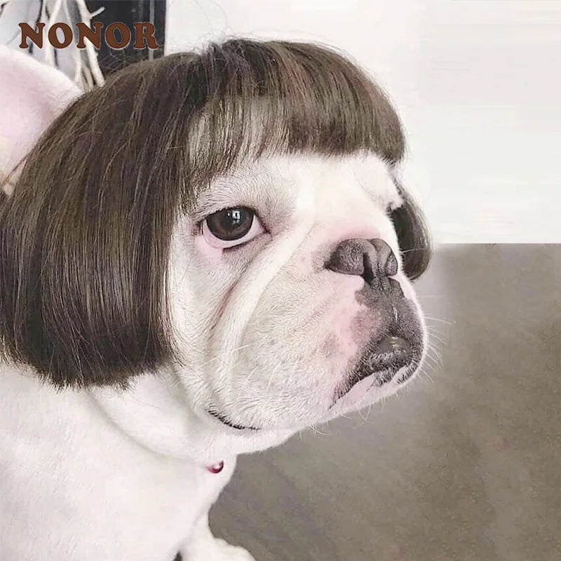 WiggleWhiskers Pet Wigs - Funny Costume Hair Hats for Dogs & Cats (Halloween & Christmas)