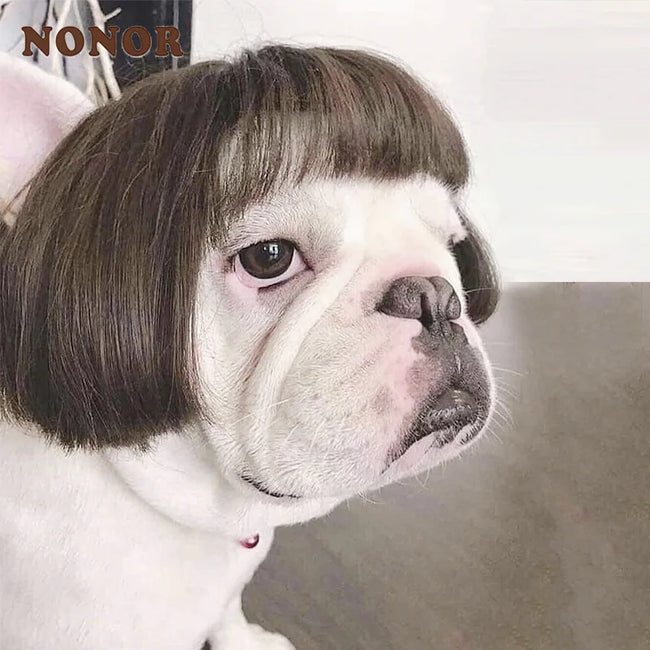 WiggleWhiskers Pet Wigs - Funny Costume Hair Hats for Dogs & Cats (Halloween & Christmas) Hover Image