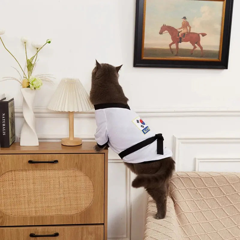 Pet Halloween Karate Costume with Belt Funny Taekwondo Uniform for Dogs and Cats