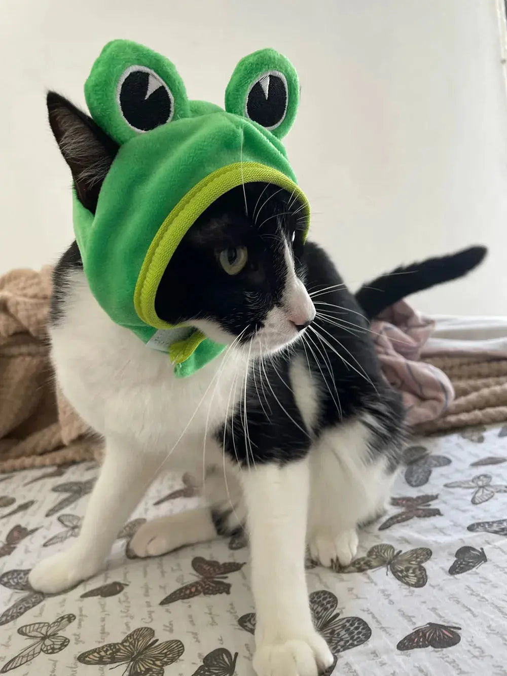 Halloween Easter Pet Costume Novelty Crab Lobster Frog Hat for Cat Puppy Hat Dog Cap Soft Headgear for Birthday Party Photo Prop