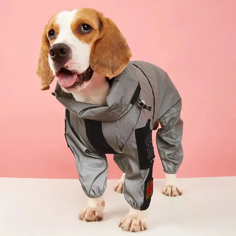 Outdoor Large Dog Raincoat: Stylish Protection for All Weather! ☔🐾
