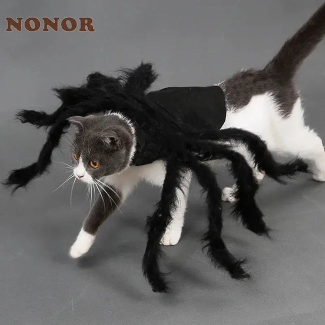 NONOR Halloween Dog Cat Clothes Pet Cosplay Funny Spider Costume Halloween Party Costumes for Small Medium Dog Cat Costumes Hover Image