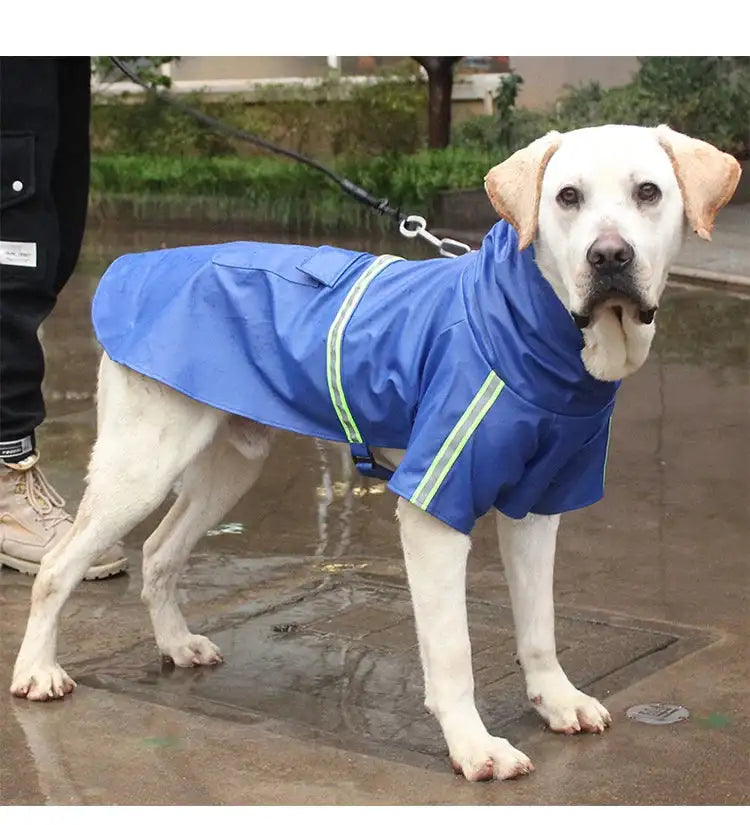 Stylish Waterproof Dog Raincoat: Keep Your Pup Dry and Chic! ☔🐶
