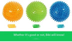 Squeaky Dental Chew Ball - Bouncy TPR Dog Toy for Teeth Cleaning & Play