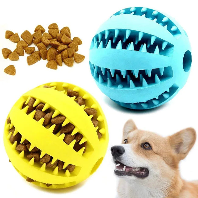 Natural Rubber Chew Ball for Small Dogs - Tough Tooth-Cleaning Treat Toy Main Image