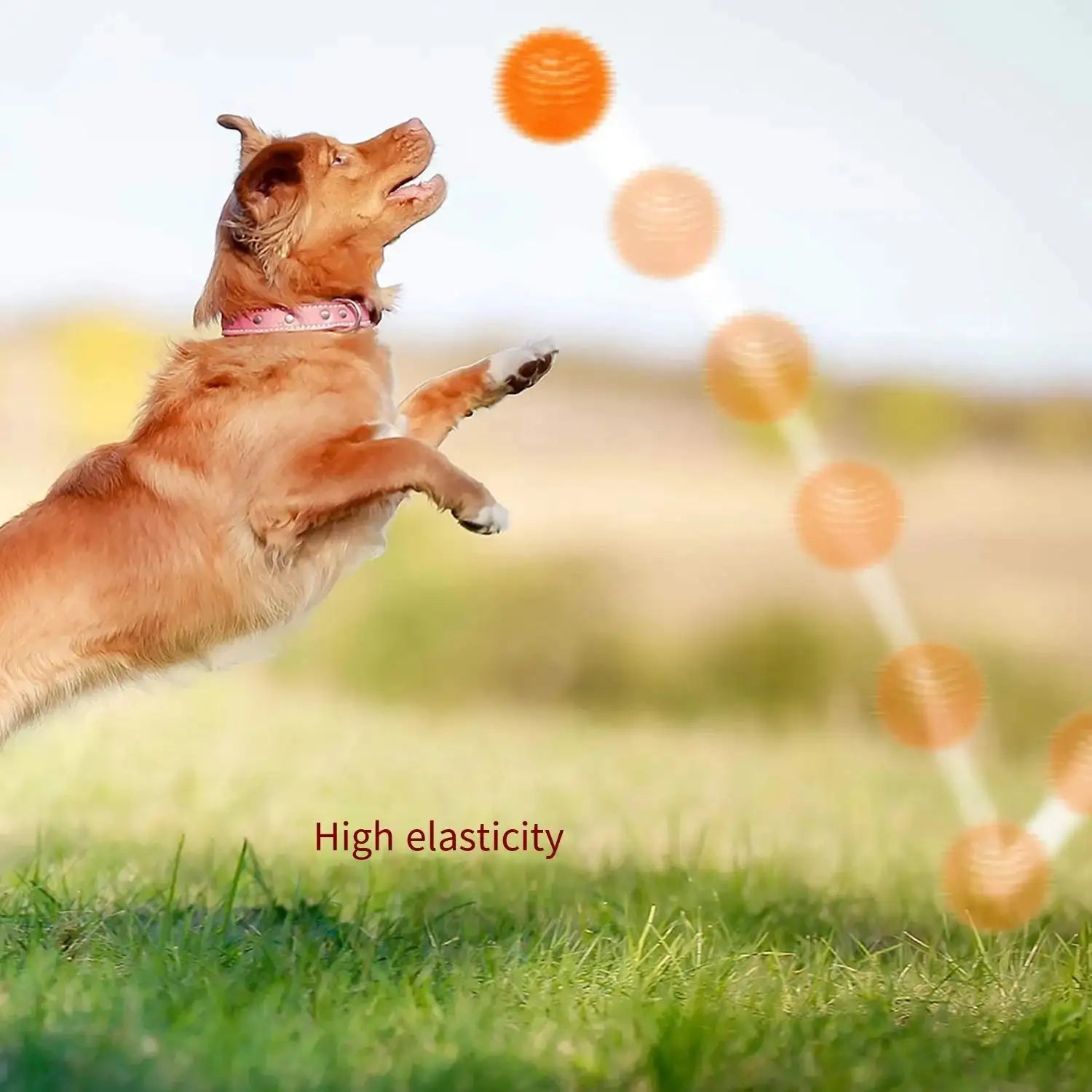 Squeaky Dental Chew Ball - Bouncy TPR Dog Toy for Teeth Cleaning & Play