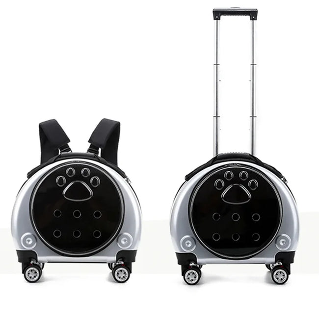 Transparent Space Cat Travel Capsule Main Image