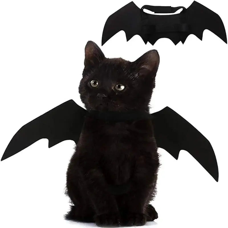Dog Cat Bat Wings for Halloween Party Decoration, Pet Collar Leads Cosplay Bat Costume,Cute Puppy Cat Dress Up Accessories