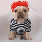 WiggleWhiskers Pet Wigs - Funny Costume Hair Hats for Dogs & Cats (Halloween & Christmas)