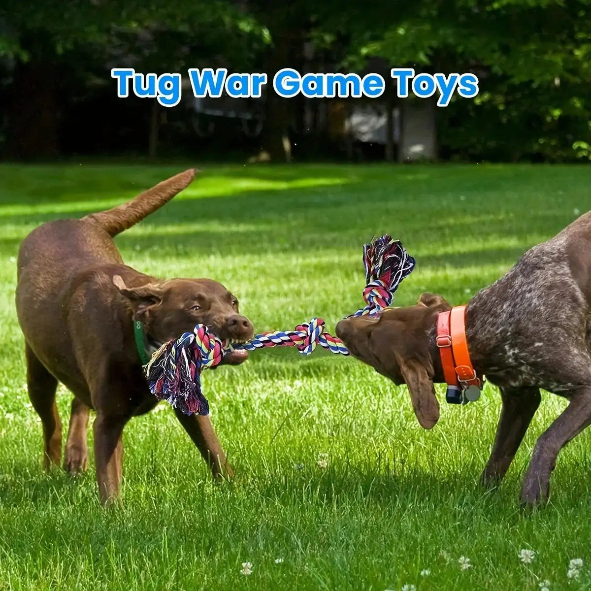Heavy-Duty Rope Tug Toy - Triple-Knot Chew for Large Breed Dogs, Indestructible Tug-of-War