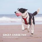 Squeaky Dog Toys for Aggressive Chewers - Rubber Chew Ball for Teeth Grinding & Cleaning
