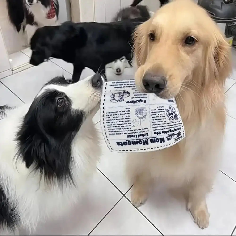 Indestructible Squeaky Card Chew Toy for Puppies - K/Q/J Tearproof Dog Toy for Corgi, Teddy & Small Breeds