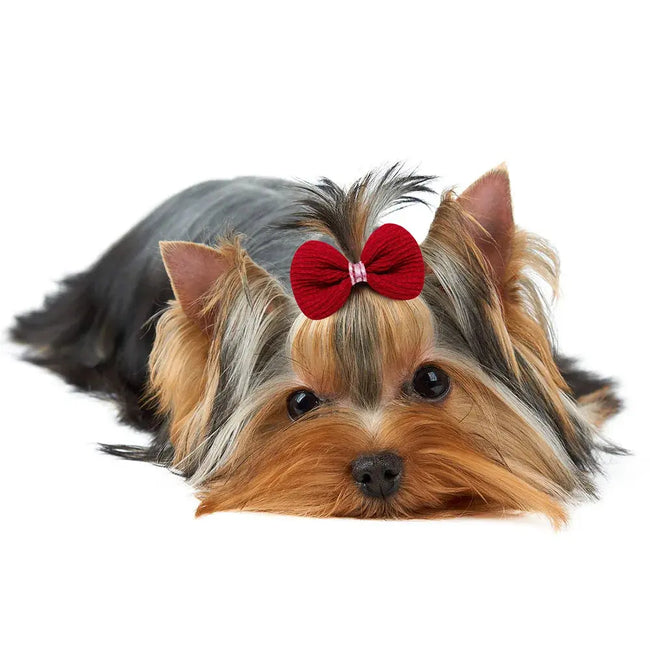 20PCS Cute Pet Dog Hairpin Cat Dog Solid Color Plaid Bow Hair Clips for Dogs Boutique Clips Dog Grooming Hair Accessories Main Image