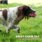 Squeaky Dog Toys for Aggressive Chewers - Rubber Chew Ball for Teeth Grinding & Cleaning