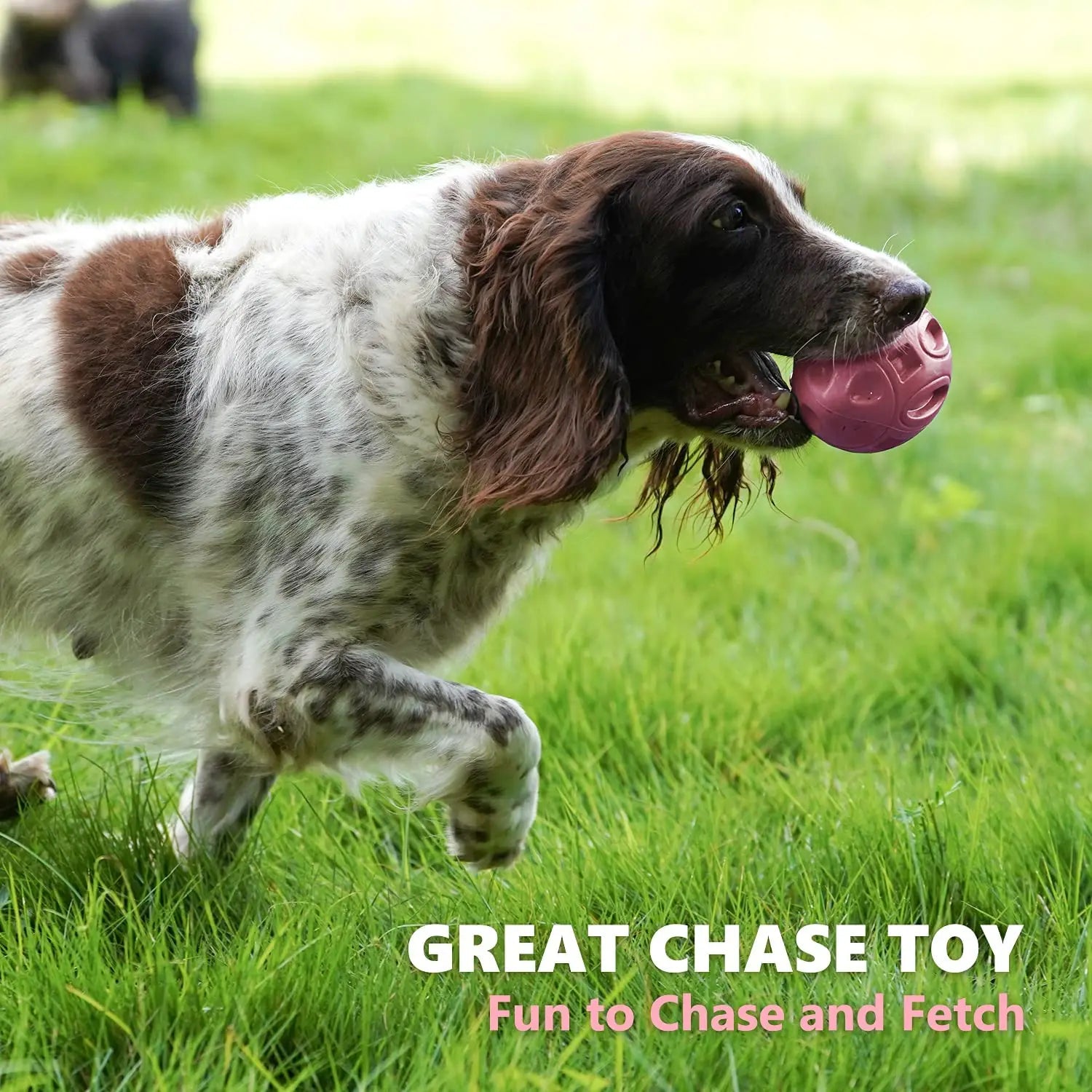 Squeaky Dog Toys for Aggressive Chewers - Rubber Chew Ball for Teeth Grinding & Cleaning