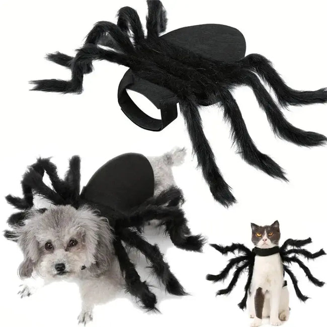 NONOR Halloween Dog Cat Clothes Pet Cosplay Funny Spider Costume Halloween Party Costumes for Small Medium Dog Cat Costumes Main Image