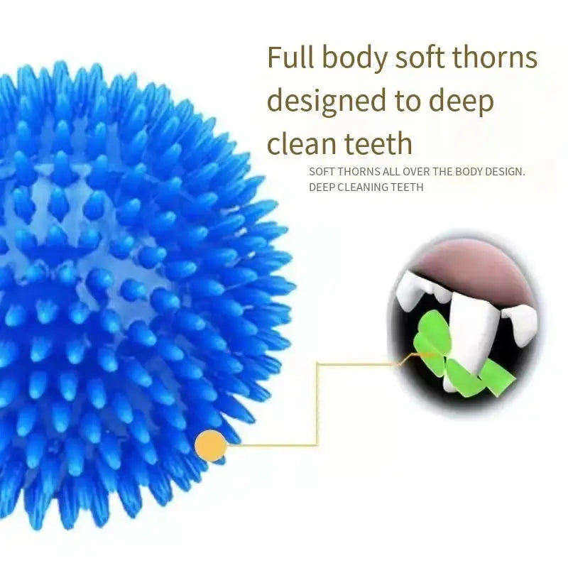 Squeaky Dental Chew Ball - Bouncy TPR Dog Toy for Teeth Cleaning & Play